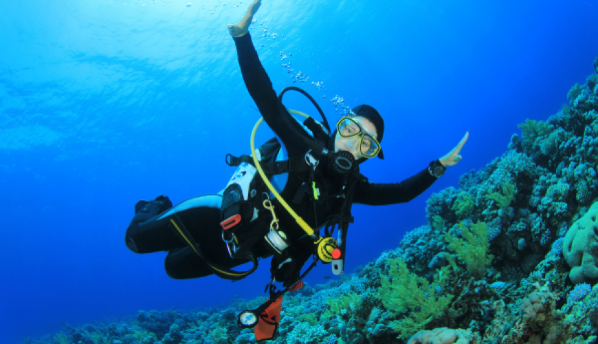 Scuba Diving in Goa
