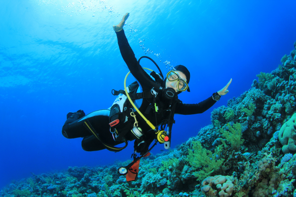 Scuba Diving in Goa
