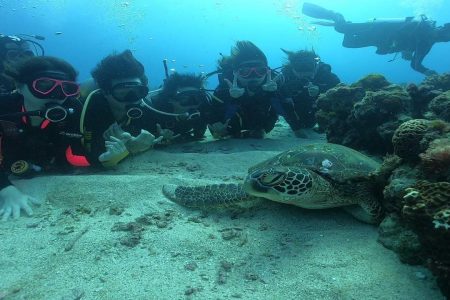 Scuba Diving at Grand Island